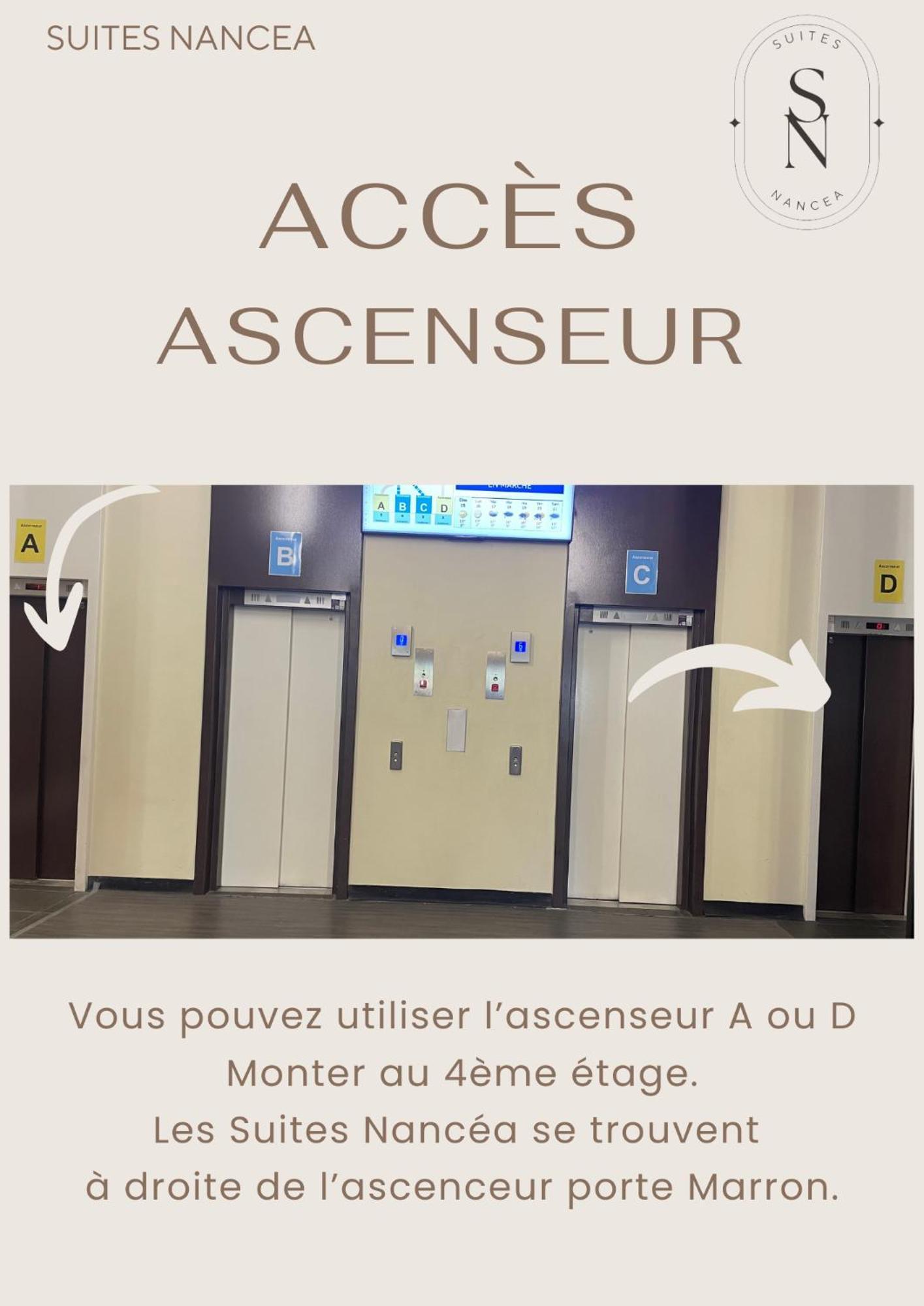 Vue Sur Le Palais - Nancy Gare Congres - Parking - T3アパートメント エクステリア 写真